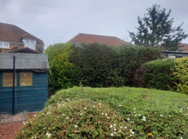Hedge cutting tyne and wear