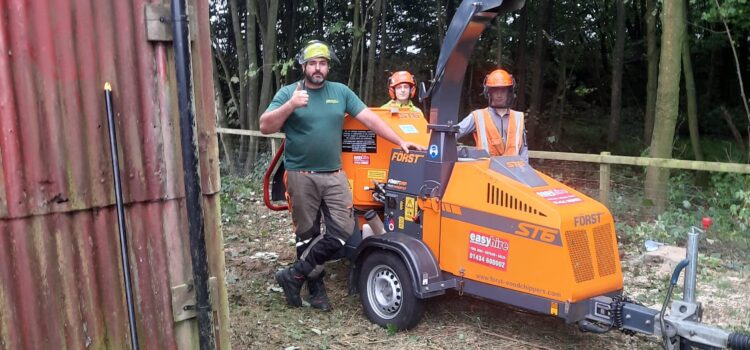 How Much Does it cost to remove a Tree in Alfreton